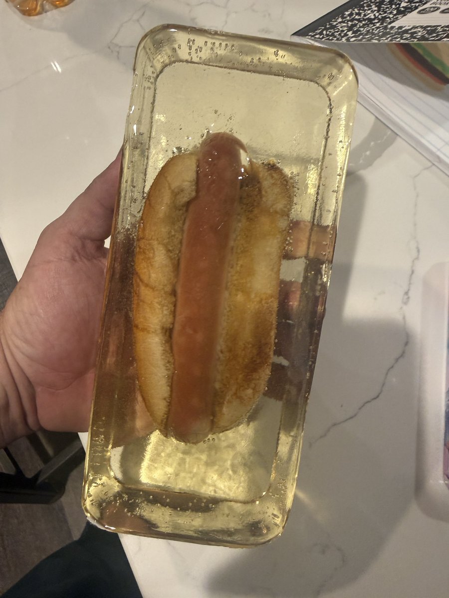A real hot dog in its bun, sealed inside a clear block of epoxy resin, held in a hand